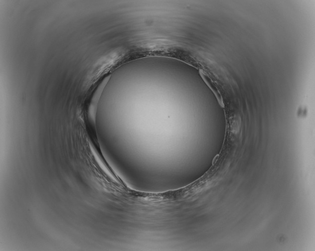 X0000091850916200709051143