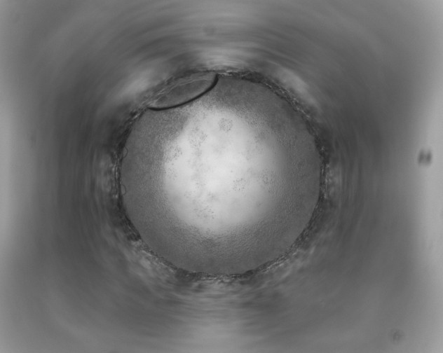 X0000091850917200709051143