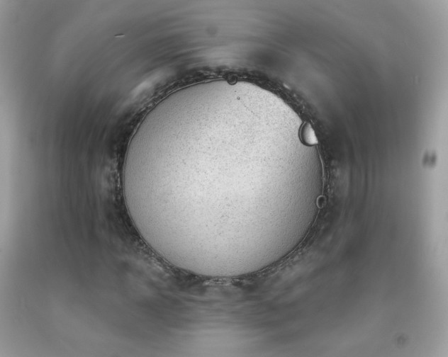 X0000091850918200709051143