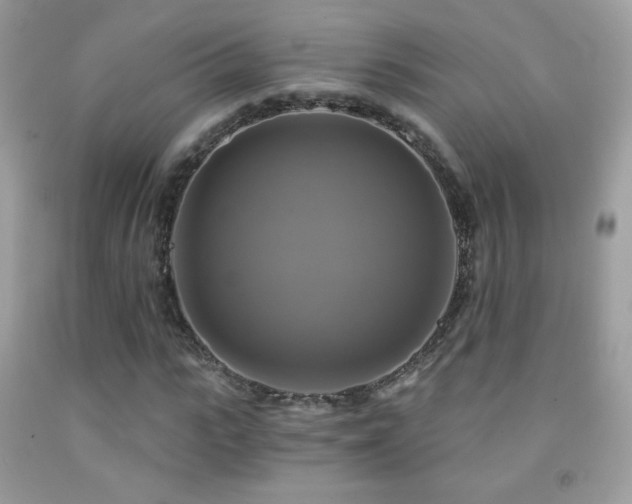 X0000091850919200709051143