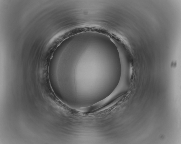 X0000091850920200709051143