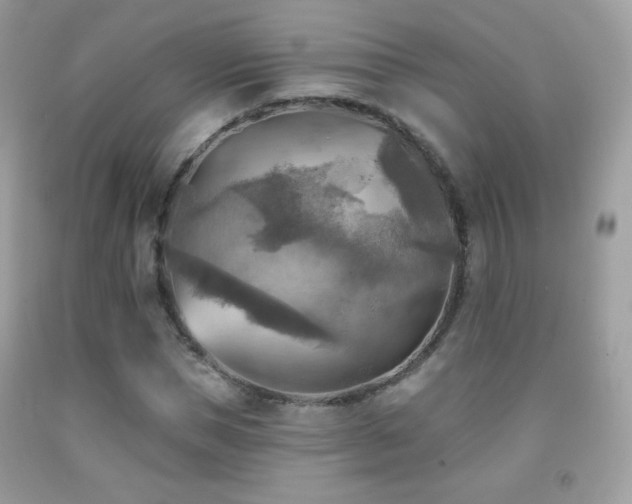 X0000091850921200709051143