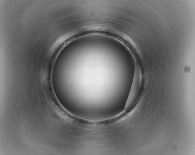 X0000091850922200709051143