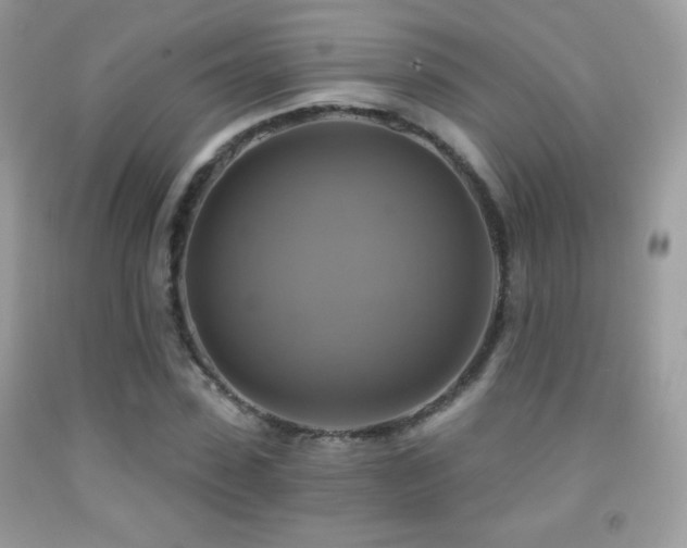X0000091850923200709051143