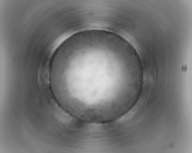 X0000091850925200709051143