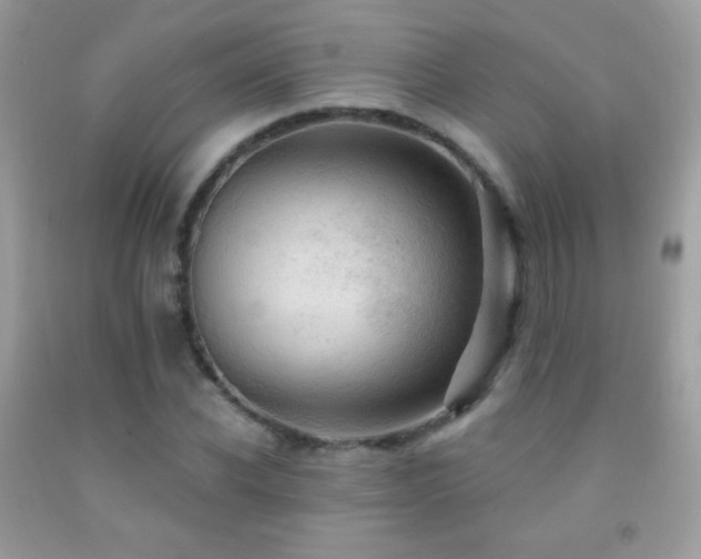 X0000091850926200709051143