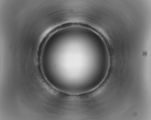 X0000091850927200709051143
