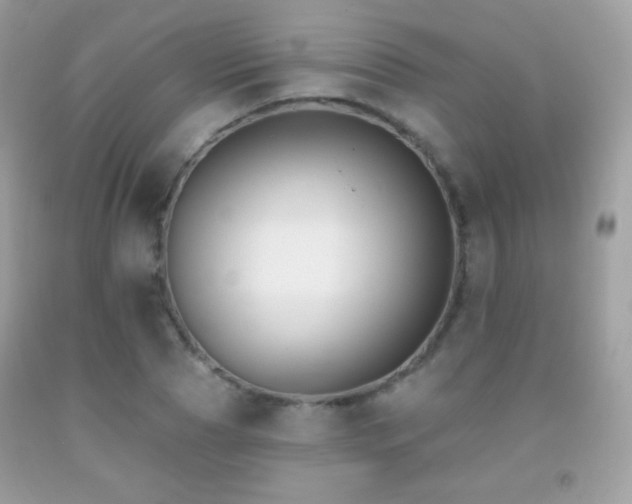 X0000091850929200709051143