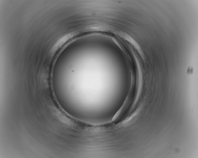X0000091850930200709051143
