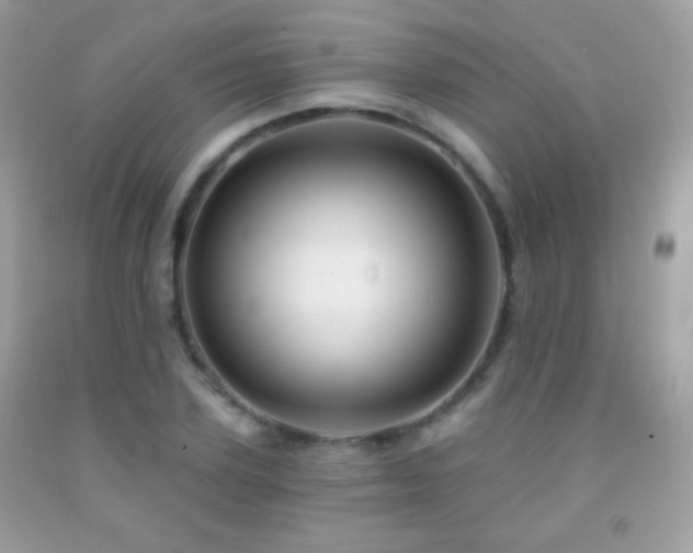X0000091850931200709051143