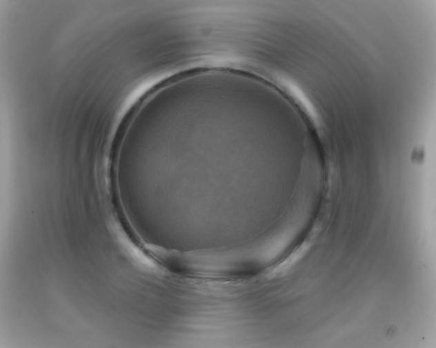 X0000091850932200709051143