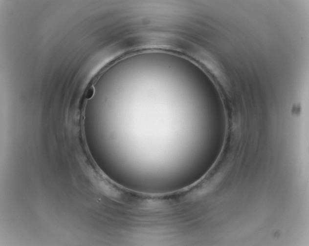 X0000091850933200709051143