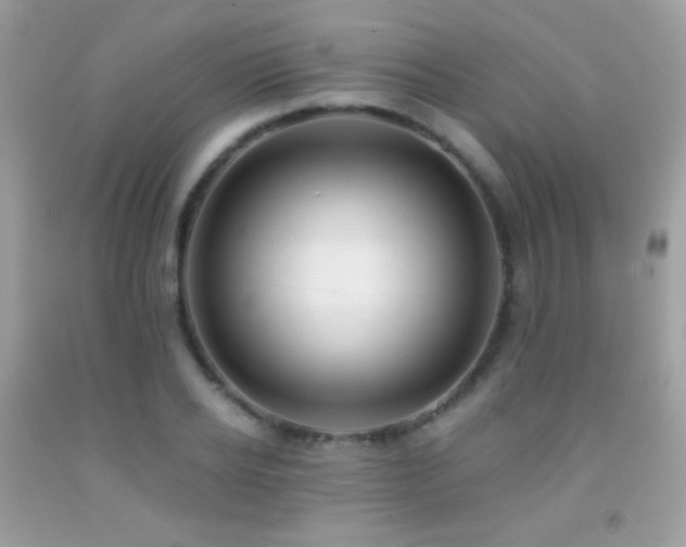 X0000091850934200709051143