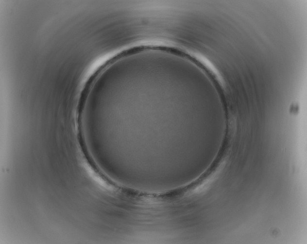 X0000091850935200709051143