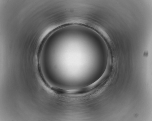 X0000091850936200709051143