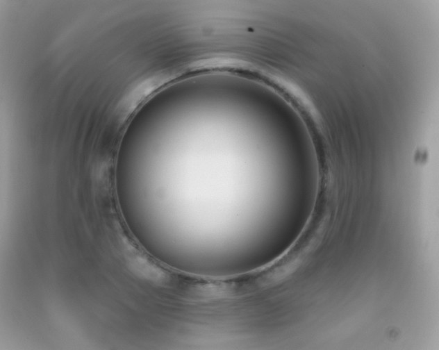 X0000091850937200709051143