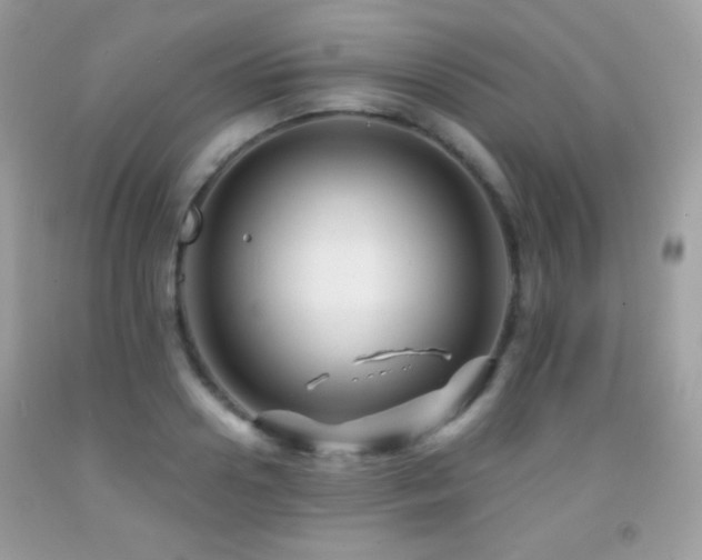 X0000091850938200709051143