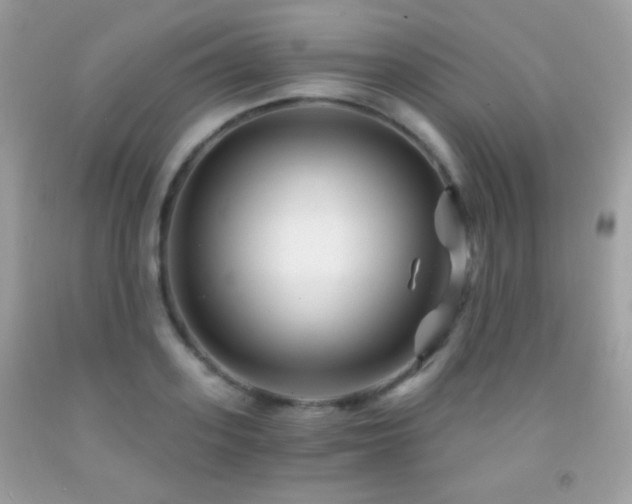 X0000091850939200709051143