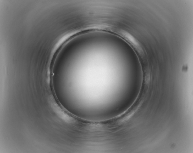 X0000091850940200709051143