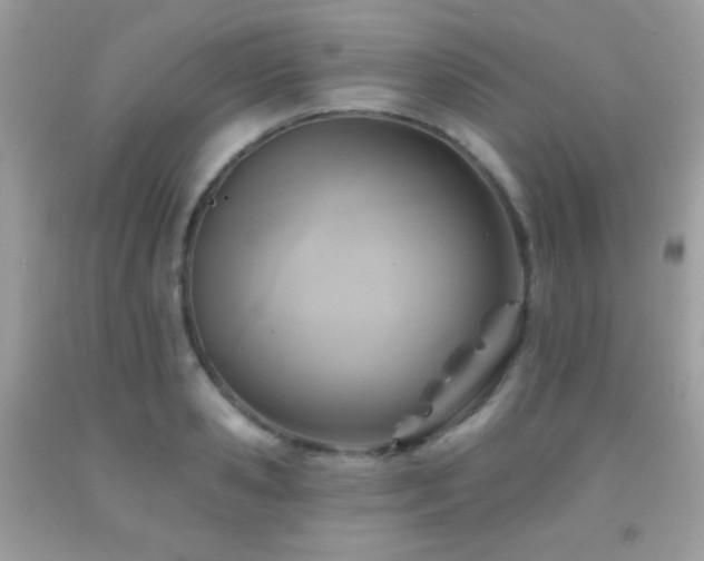 X0000091850941200709051143