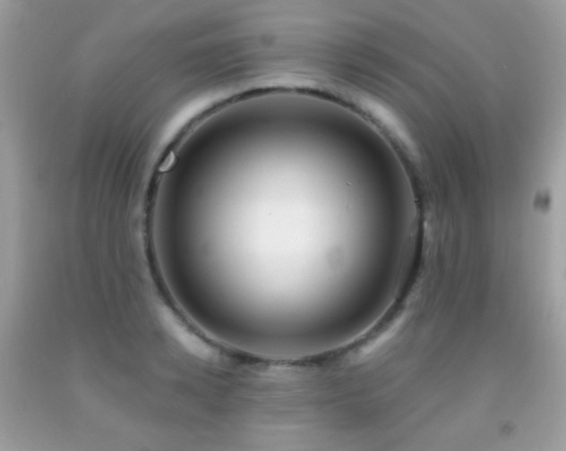 X0000091850942200709051143