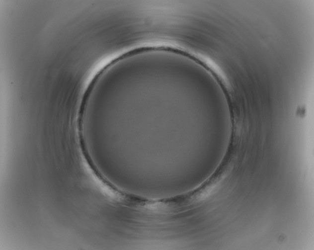 X0000091850943200709051143