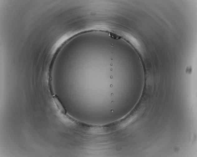 X0000091850944200709051143