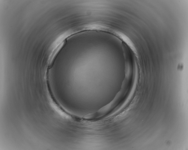X0000091850946200709051143