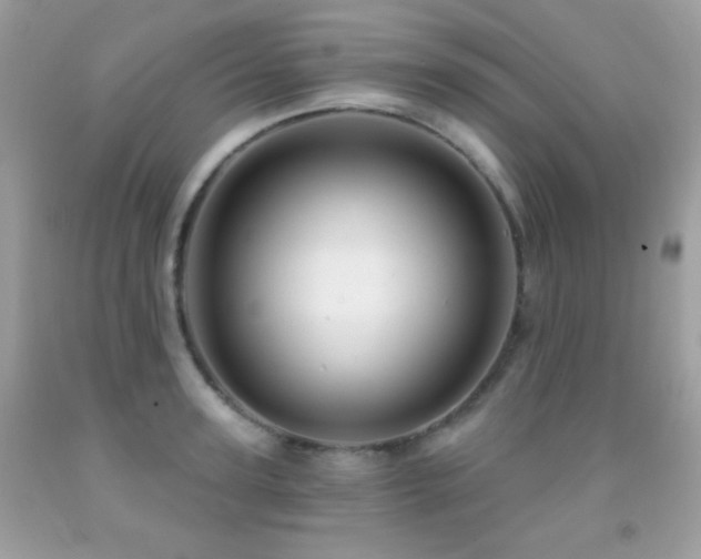 X0000091850947200709051143