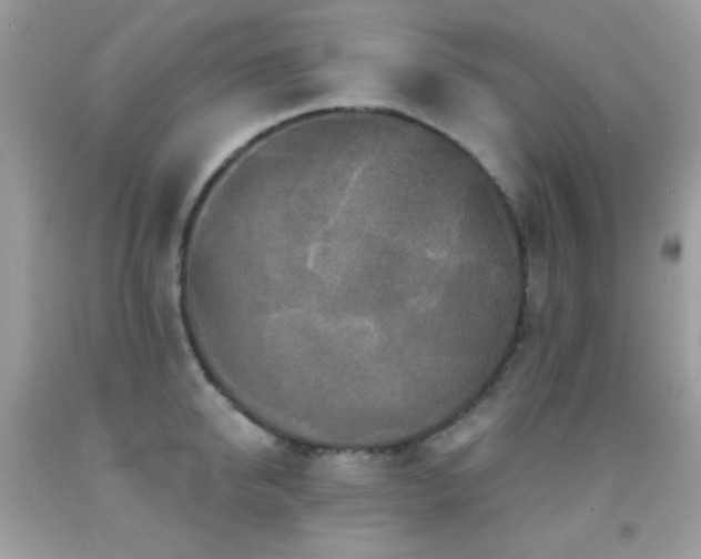 X0000091850950200709051144