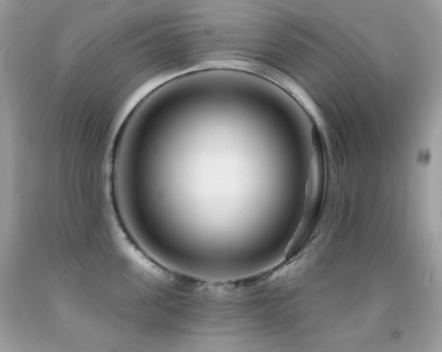 X0000091850955200709051144