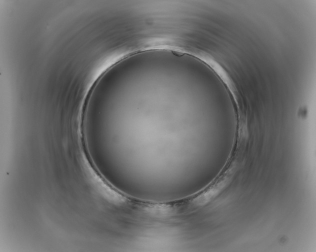 X0000091850957200709051144