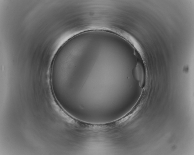 X0000091850958200709051144