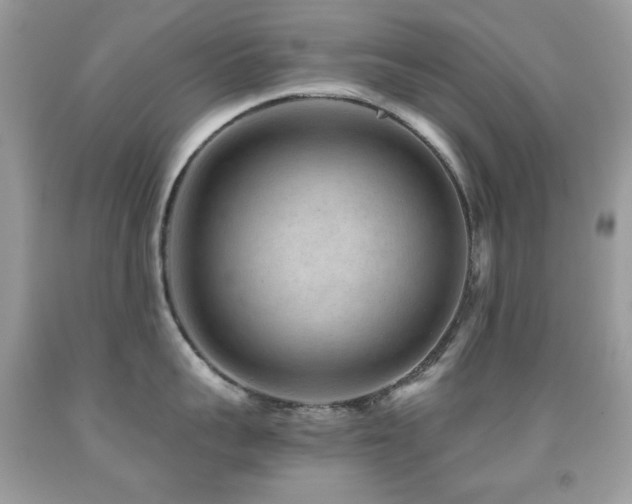 X0000091850959200709051144