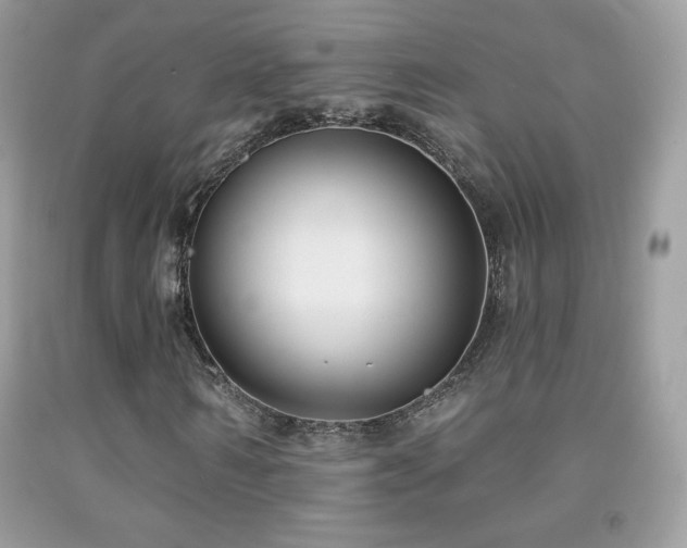 X0000091850962200709051143
