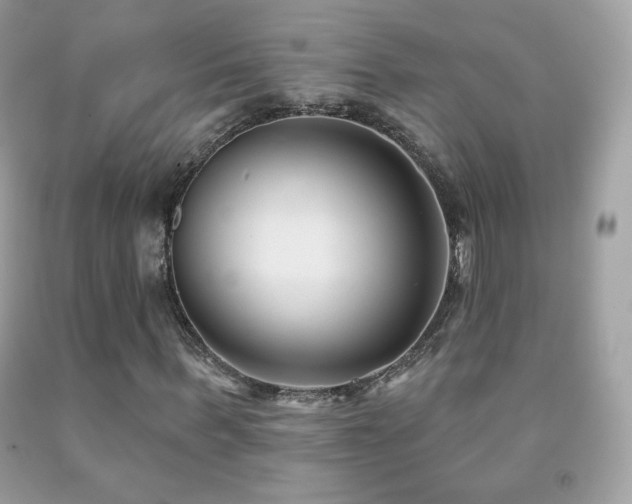 X0000091850963200709051143