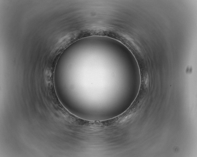 X0000091850964200709051143