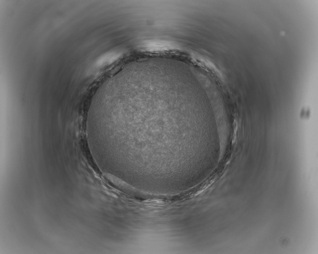 X0000091850965200709051143