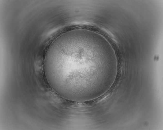 X0000091850966200709051143