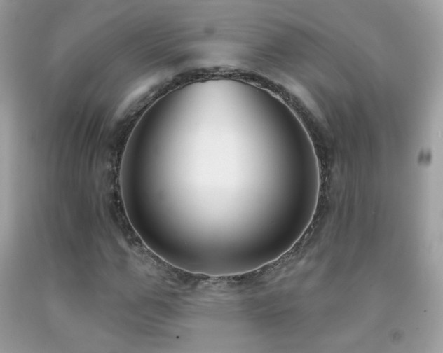 X0000091850967200709051143