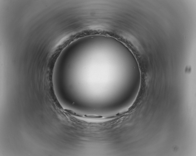 X0000091850968200709051143