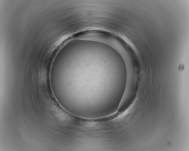 X0000091850969200709051143