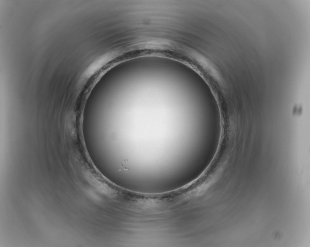 X0000091850970200709051143