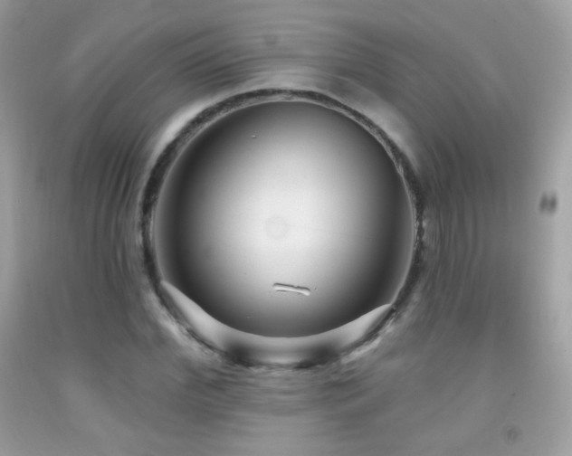 X0000091850972200709051143