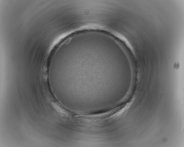 X0000091850973200709051143