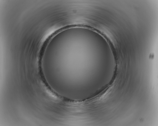 X0000091850975200709051143