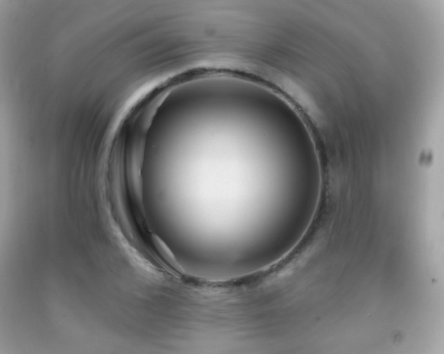 X0000091850976200709051143