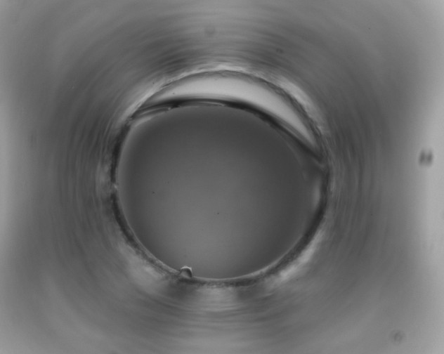 X0000091850977200709051143