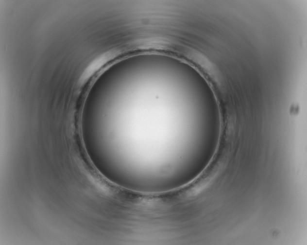 X0000091850978200709051143
