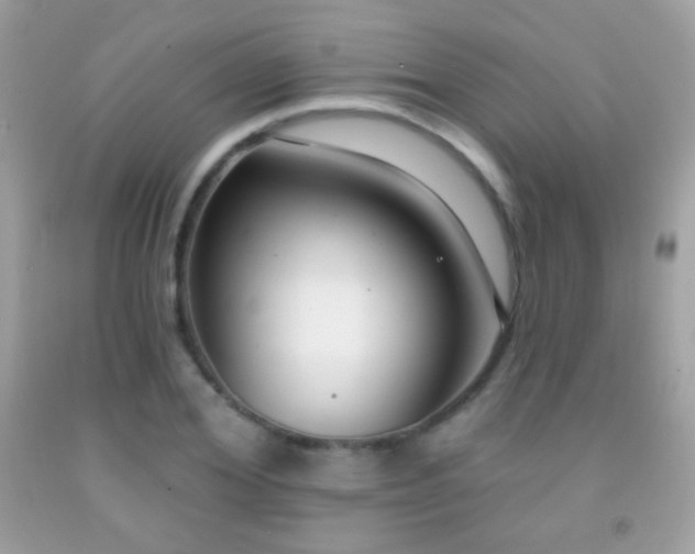 X0000091850980200709051143